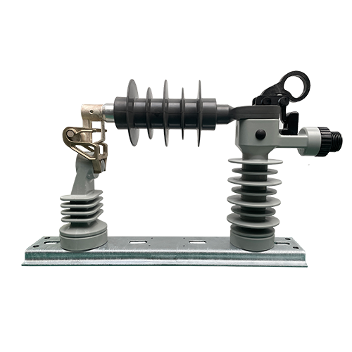 Removable Enclosed Arrester